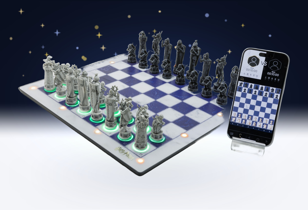 The GoChess Wizard board