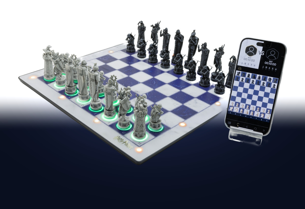 The GoChess Wizard board